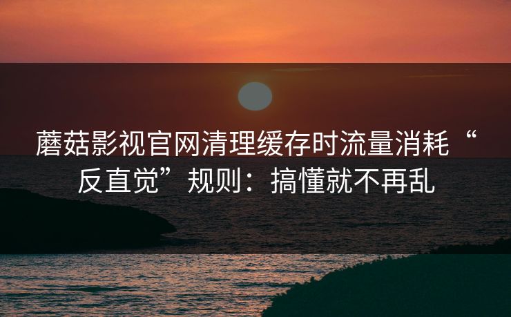 蘑菇影视官网清理缓存时流量消耗“反直觉”规则：搞懂就不再乱