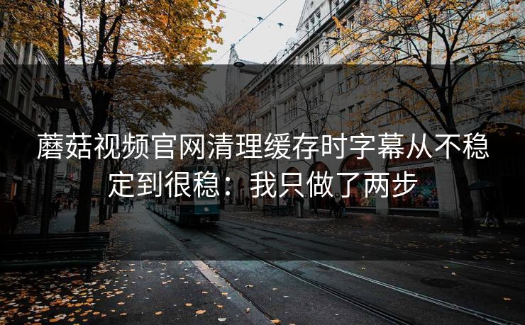 蘑菇视频官网清理缓存时字幕从不稳定到很稳：我只做了两步